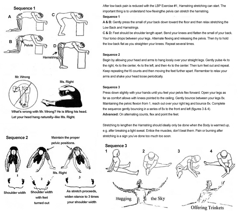 Hamstring Exercise